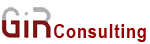 GirConsulting